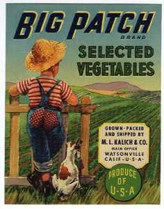 Labels - Vbigpatch